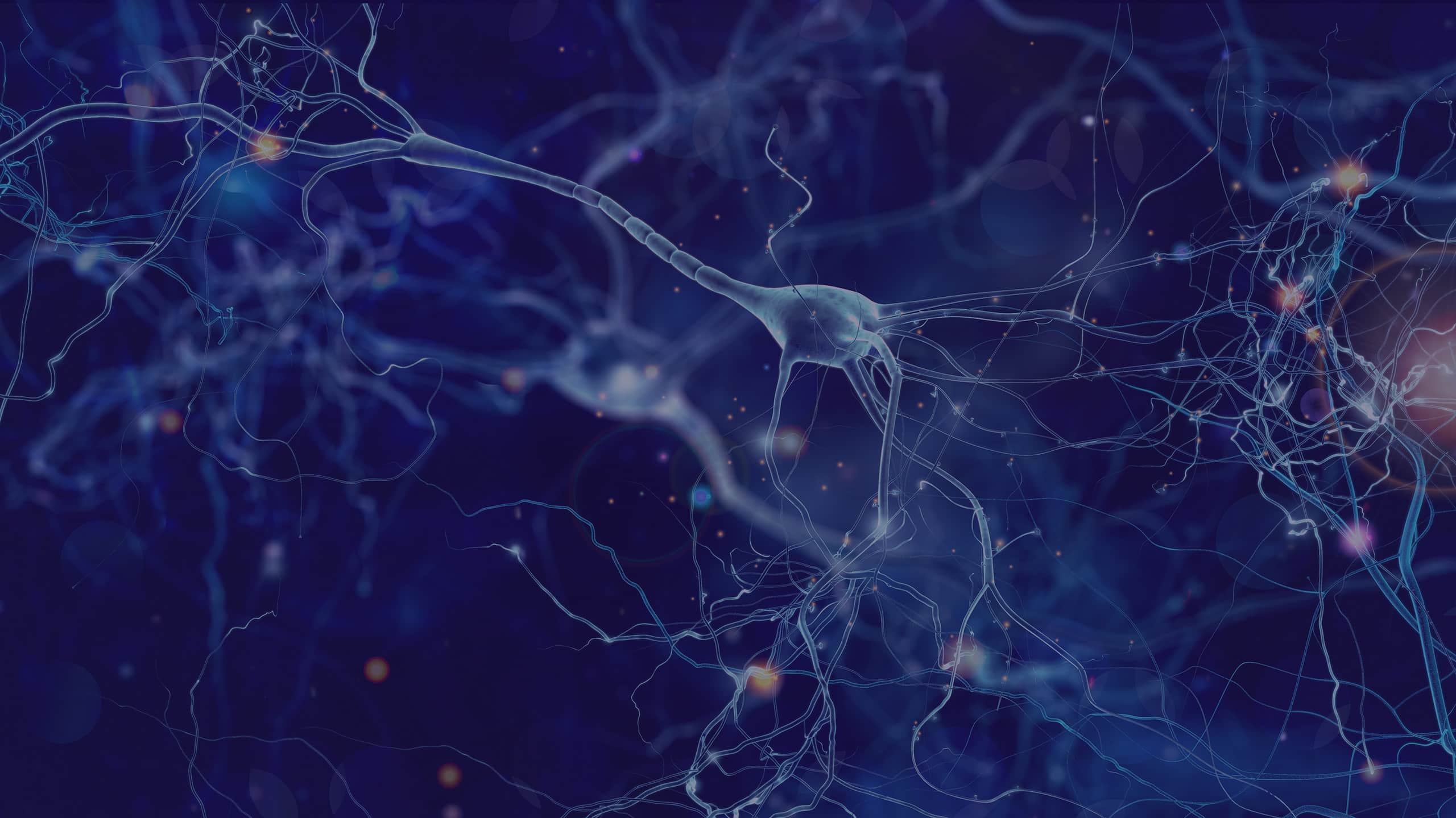 3D illustration of interconnected neurons with glowing synapses against a dark blue background, showing neural network structure.