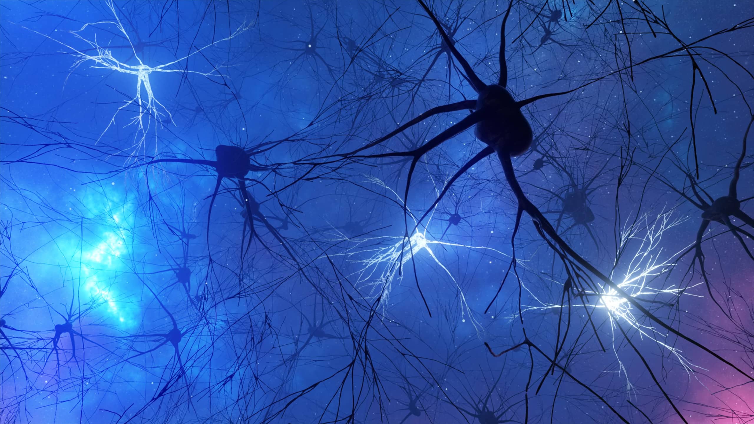 3D rendering of interconnected neurons with glowing synapses transmitting electrical signals against a dark space-like background.